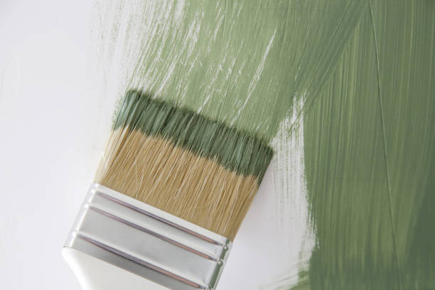 Best Mold Odor Removal Services  in Benton, KY