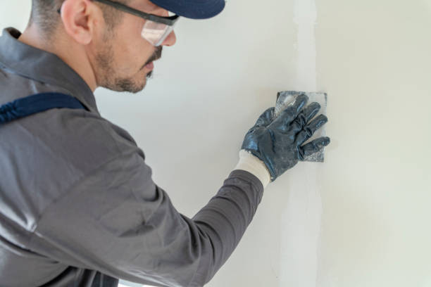 Mold Odor Removal Services in Benton, KY