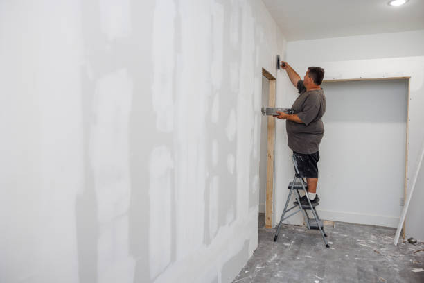 Best Water Damage & Mold Remediation  in Benton, KY