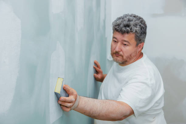 Best Asbestos and Lead Testing During Mold Inspection  in Benton, KY