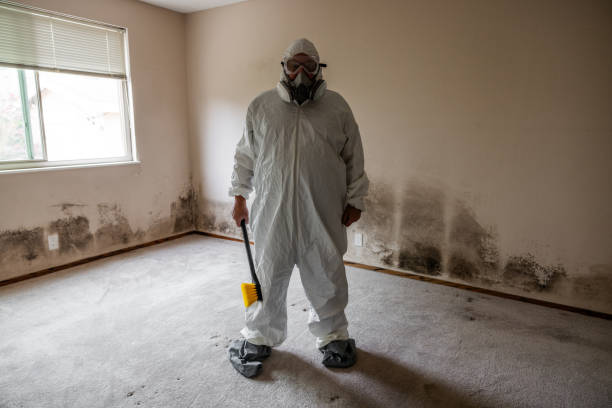 Best Mold Remediation for Healthcare Facilities  in Benton, KY