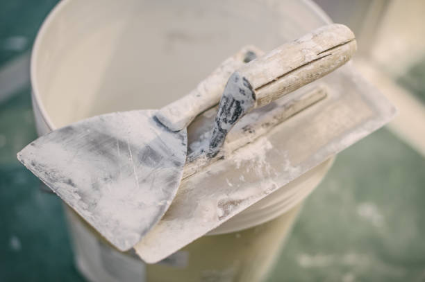 Best Basement Mold Removal  in Benton, KY