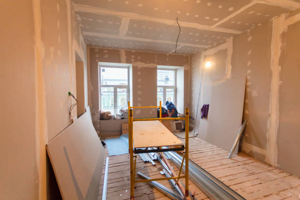 Best Post-Construction Mold Inspection  in Benton, KY
