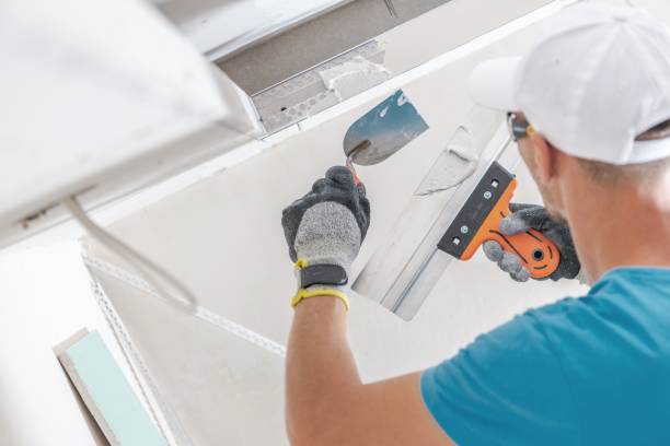 Benton, KY Mold Removal Company